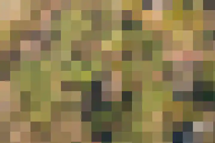 Spechtbos 8 Helvoirt thumbnail 45