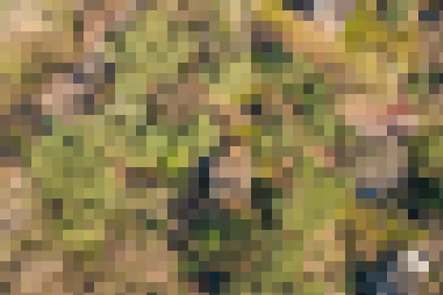 Spechtbos 8 Helvoirt thumbnail 45