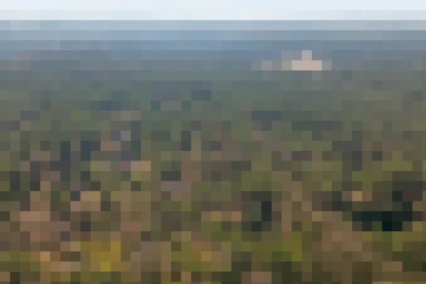 Spechtbos 8 Helvoirt thumbnail 46