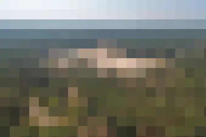Spechtbos 8 Helvoirt thumbnail 47