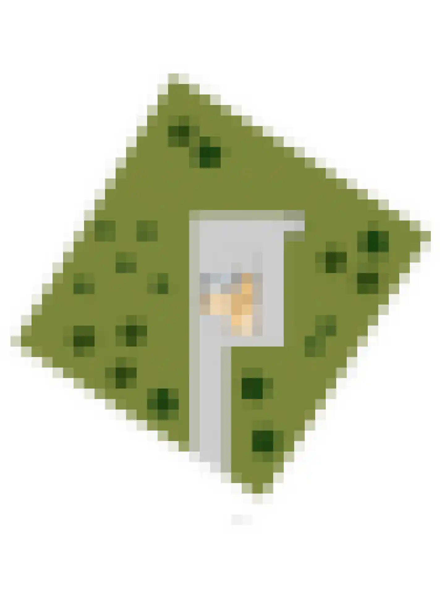 Spechtbos 8 Helvoirt thumbnail 49