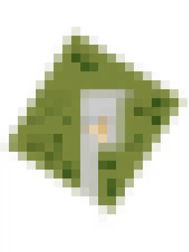 Spechtbos 8 Helvoirt thumbnail 52
