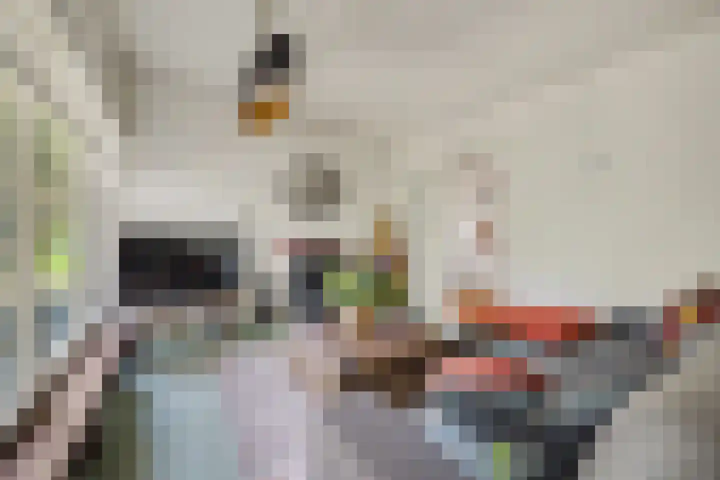 Spechtbos 8 Helvoirt thumbnail 6