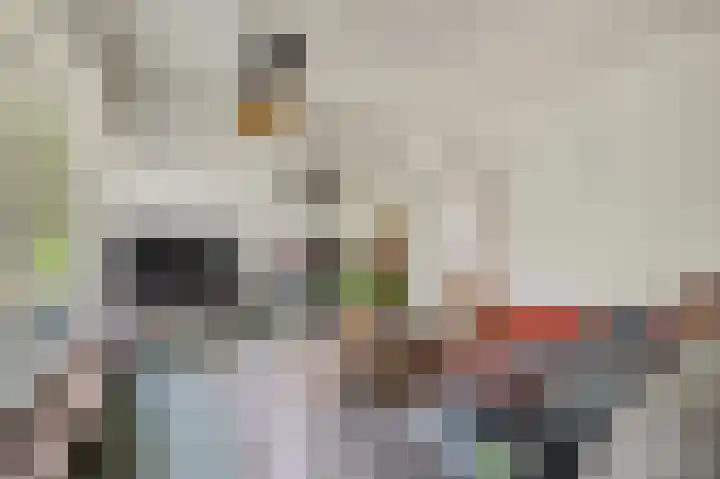 Spechtbos 8 Helvoirt thumbnail 6