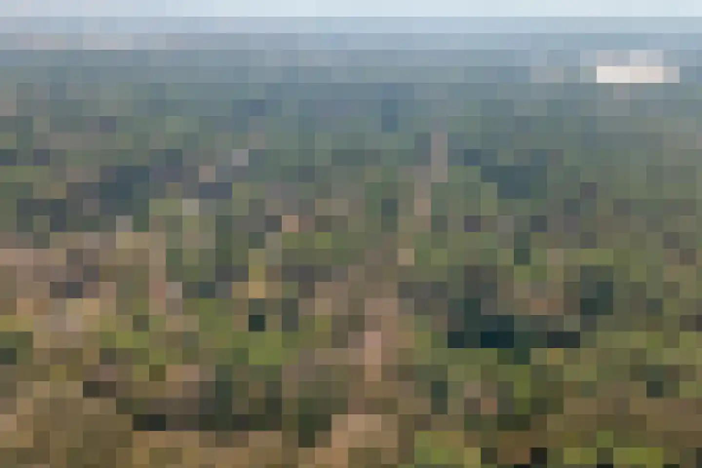 Spechtbos Helvoirt thumbnail 11