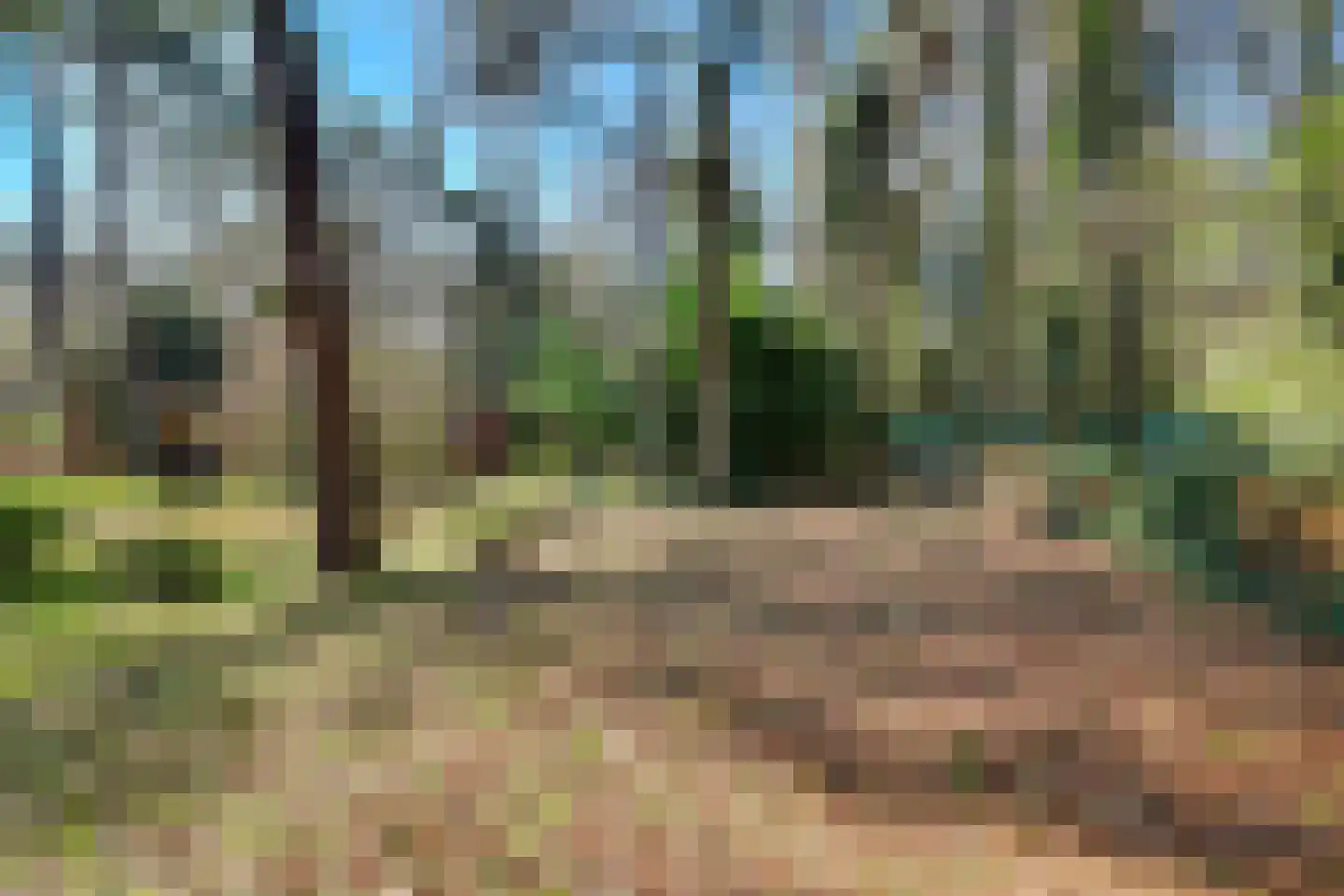 Spechtbos Helvoirt thumbnail 15