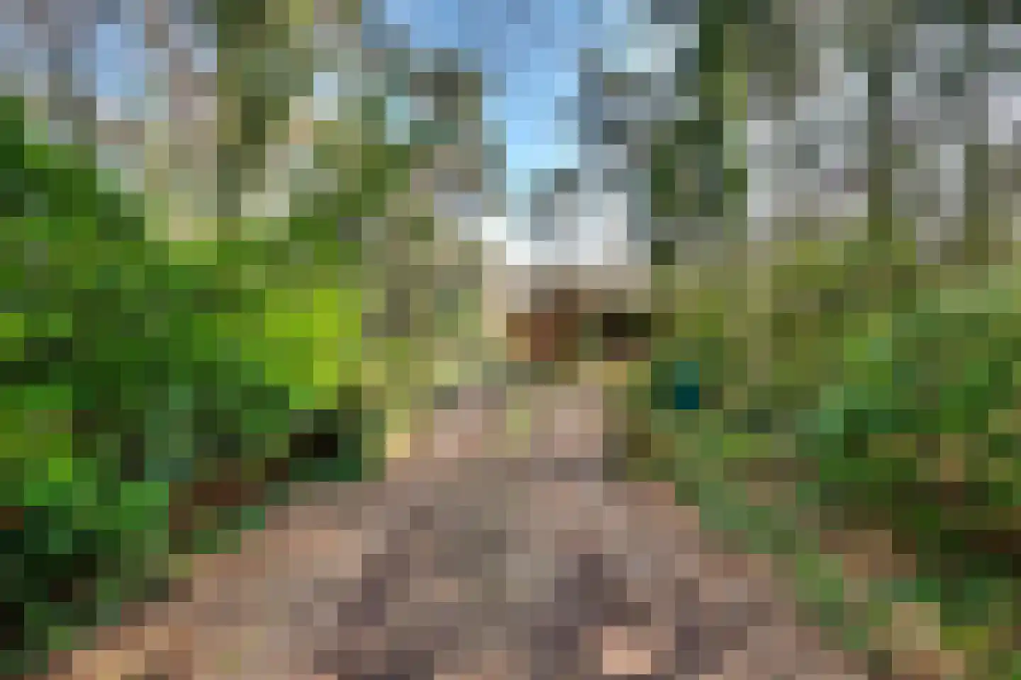 Spechtbos Helvoirt thumbnail 17