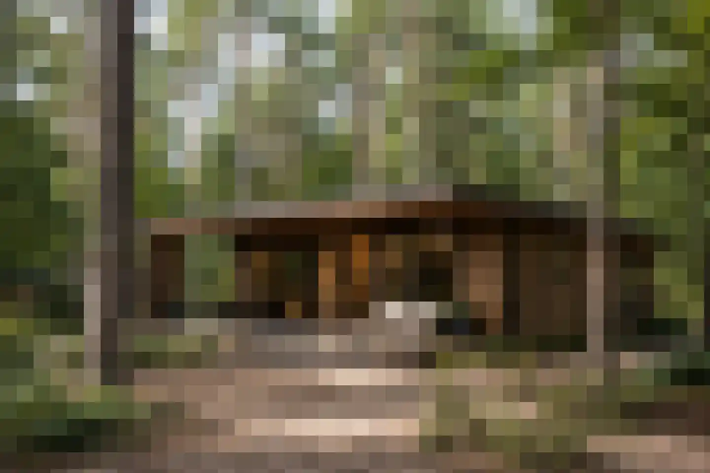 Spechtbos Helvoirt foto 3