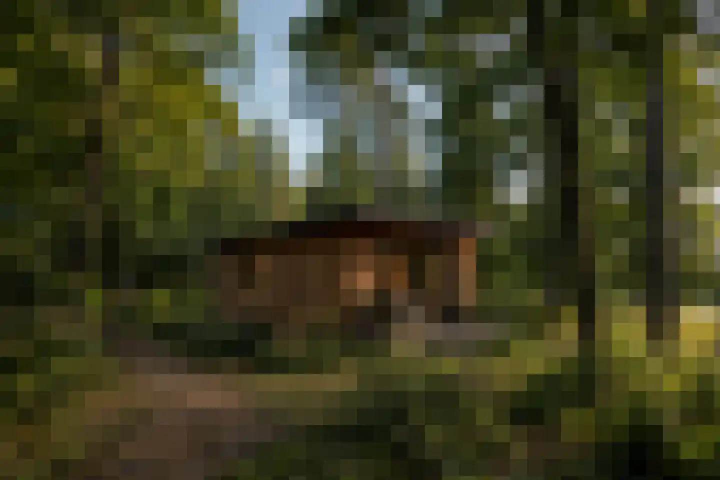 Spechtbos Helvoirt thumbnail 4