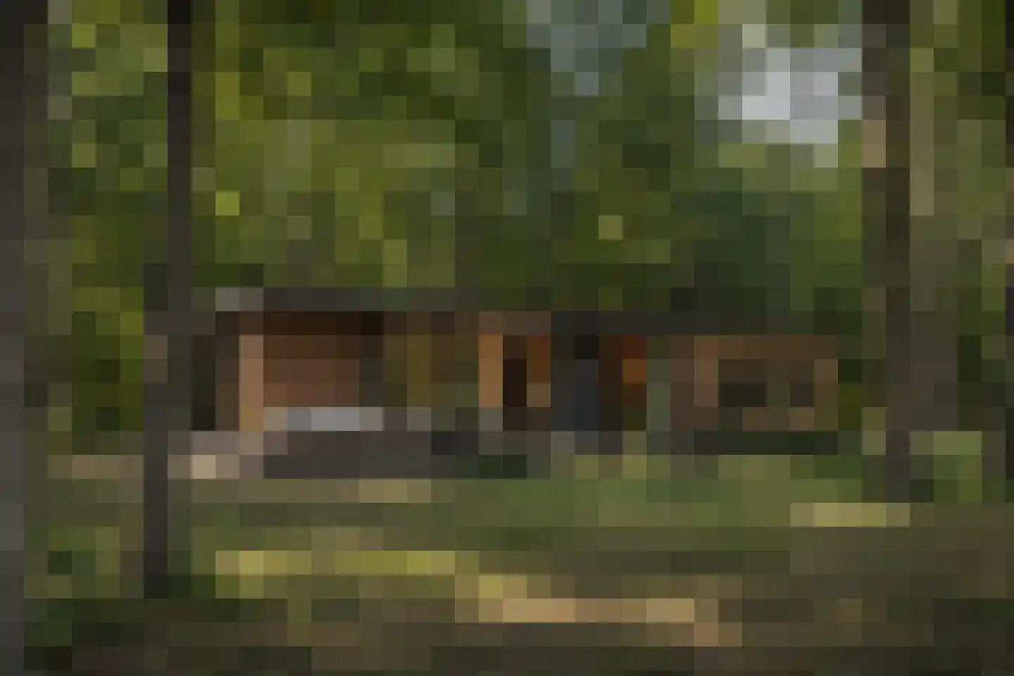 Spechtbos Helvoirt thumbnail 5