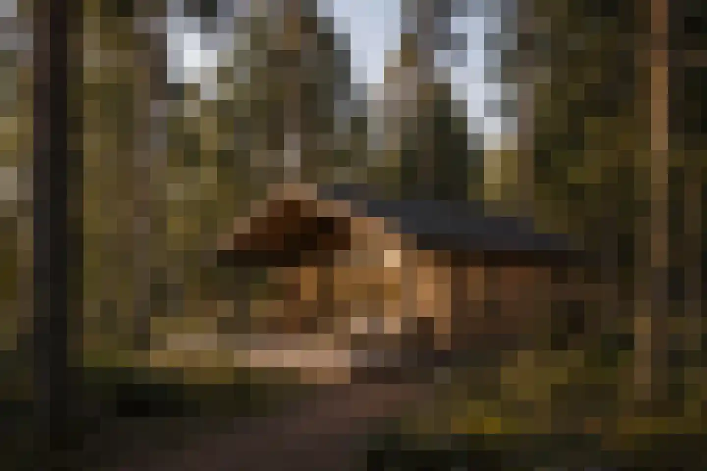 Spechtbos Helvoirt thumbnail 6