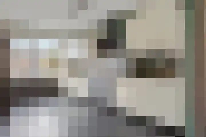 Spechtendaal 11 Nieuwerkerk aan den IJssel thumbnail 10