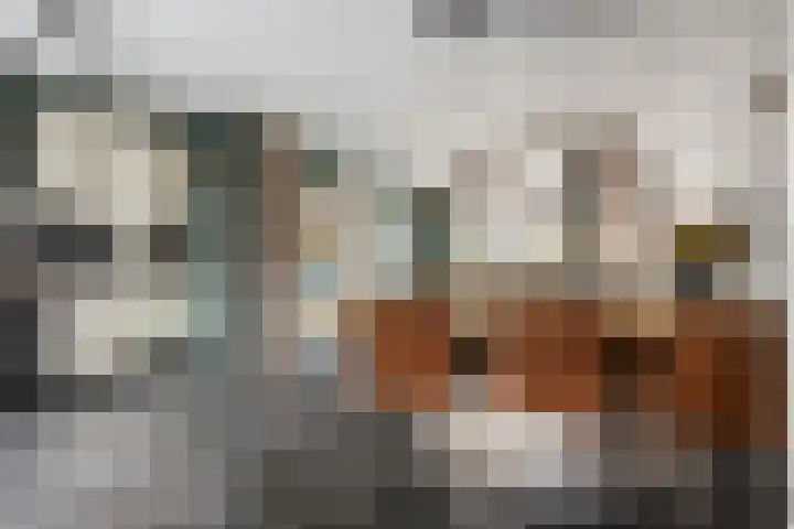 Spechtendaal 11 Nieuwerkerk aan den IJssel thumbnail 13