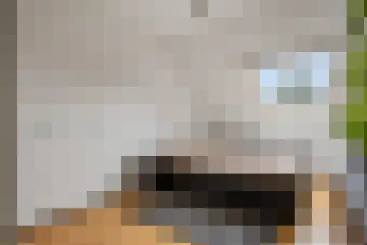 Spechtendaal 11 Nieuwerkerk aan den IJssel thumbnail 16