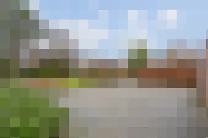 Spechtendaal 11 Nieuwerkerk aan den IJssel thumbnail 34