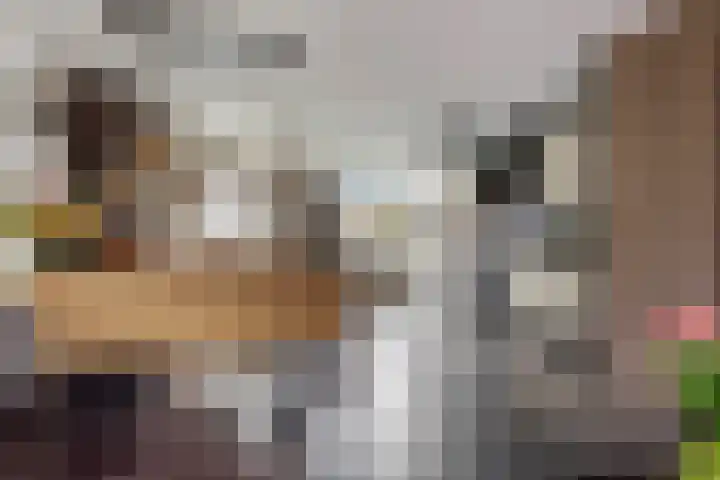 Spechtendaal 11 Nieuwerkerk aan den IJssel thumbnail 8