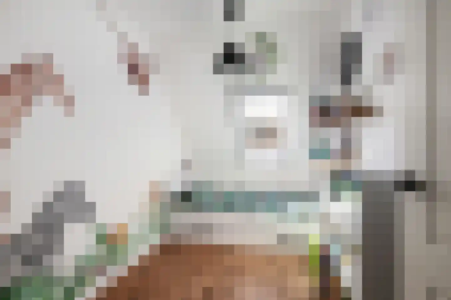 Spechtendaal 17 Nieuwerkerk aan den IJssel thumbnail 13