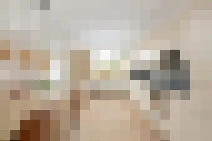 Spechtendaal 5 Nieuwerkerk aan den IJssel thumbnail 10