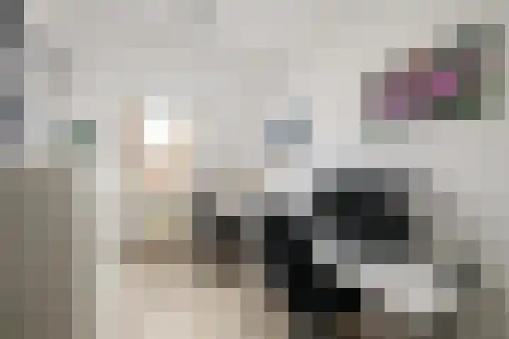Spechtendaal 5 Nieuwerkerk aan den IJssel thumbnail 12