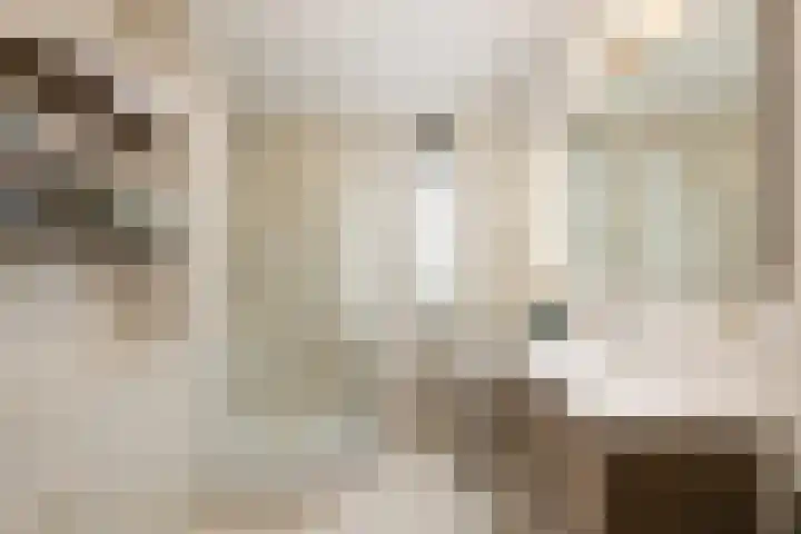 Spechtendaal 5 Nieuwerkerk aan den IJssel thumbnail 17