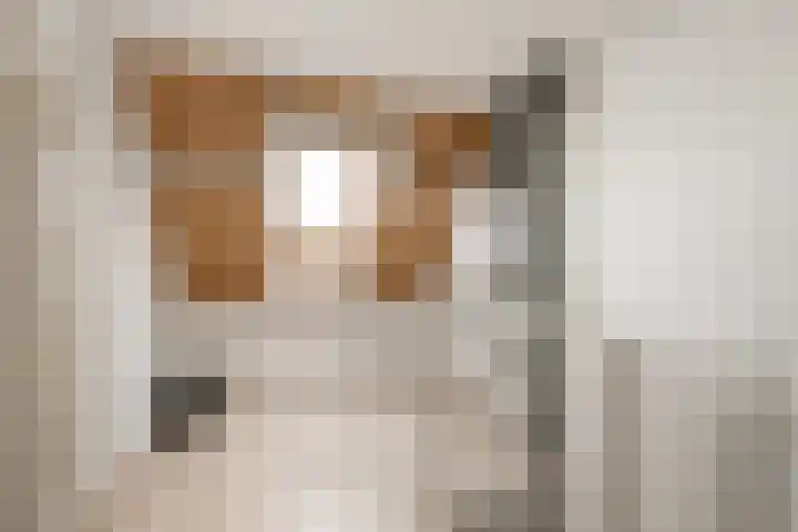 Spechtendaal 5 Nieuwerkerk aan den IJssel thumbnail 20