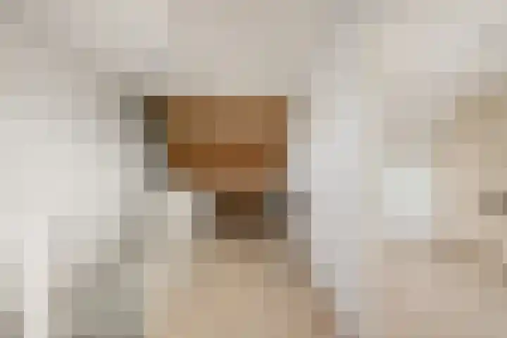 Spechtendaal 5 Nieuwerkerk aan den IJssel thumbnail 21