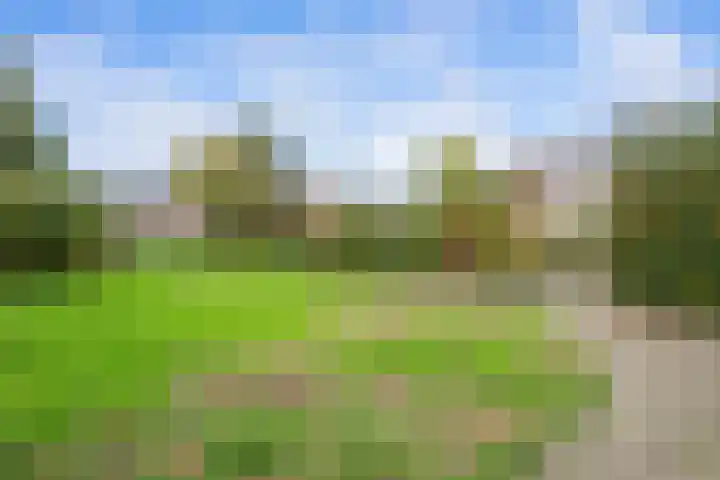 Spechtendaal 5 Nieuwerkerk aan den IJssel thumbnail 30