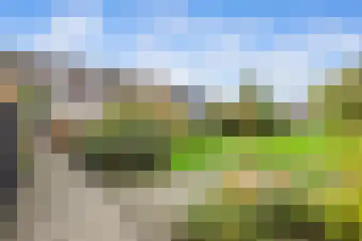 Spechtendaal 5 Nieuwerkerk aan den IJssel thumbnail 31