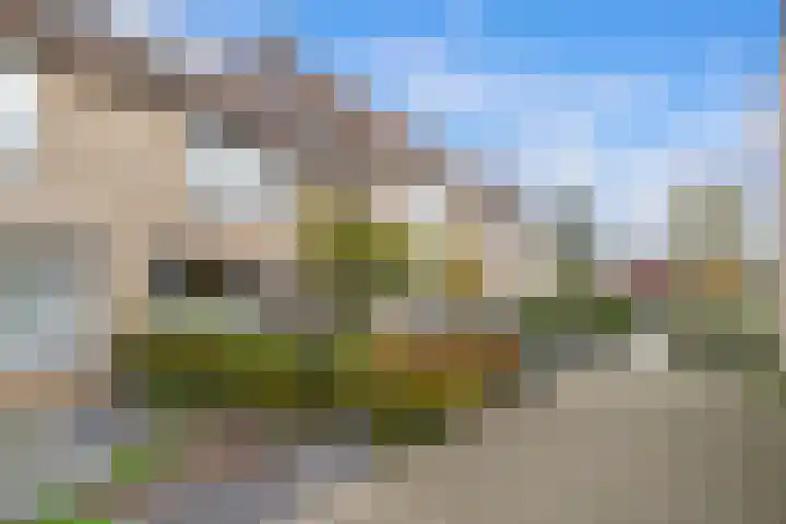 Spechtendaal 5 Nieuwerkerk aan den IJssel thumbnail 33