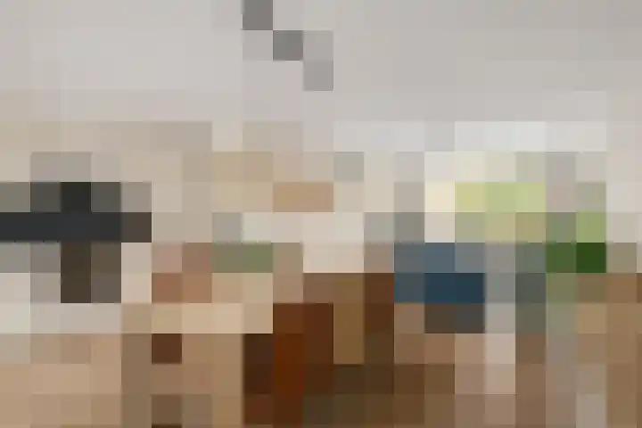 Spechtendaal 5 Nieuwerkerk aan den IJssel thumbnail 8