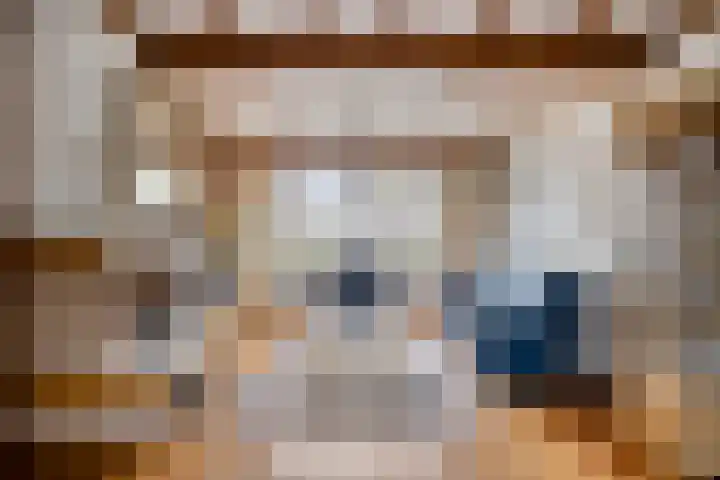 Spechtendonk 8 St. Willebrord thumbnail 10