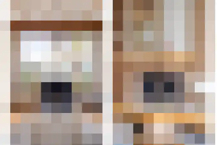 Spechtendonk 8 St. Willebrord thumbnail 11
