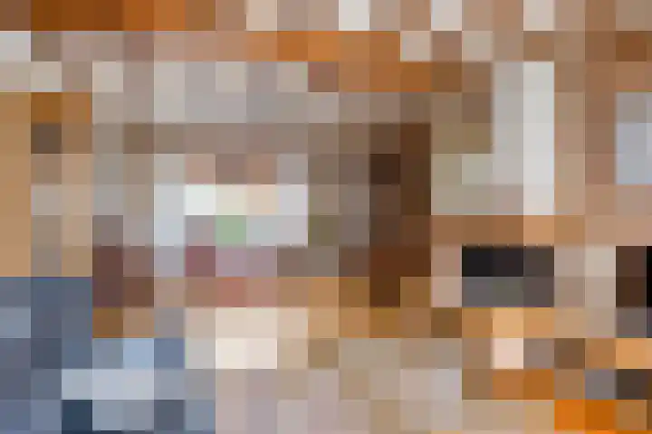 Spechtendonk 8 St. Willebrord thumbnail 12