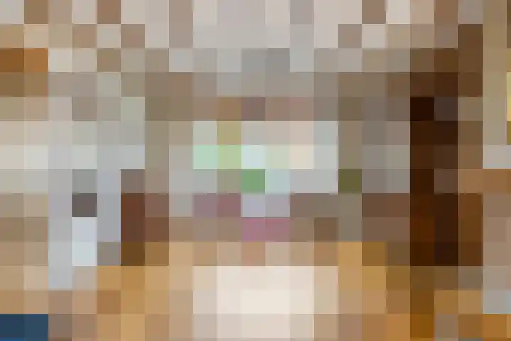 Spechtendonk 8 St. Willebrord thumbnail 13