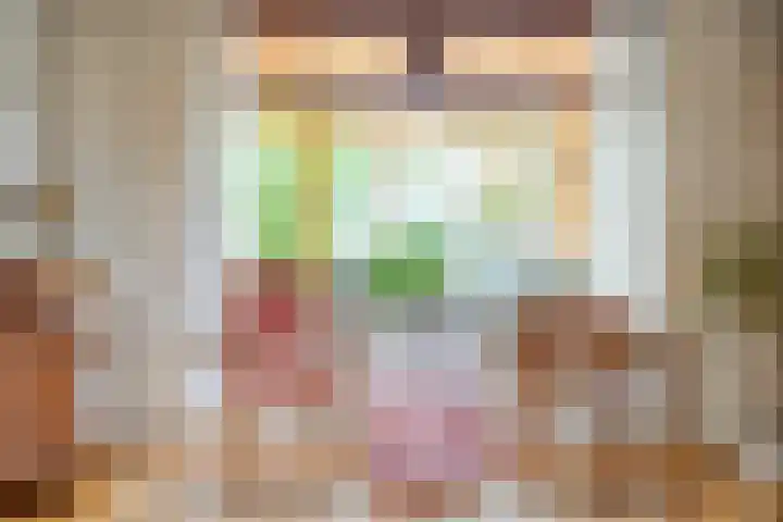 Spechtendonk 8 St. Willebrord thumbnail 14