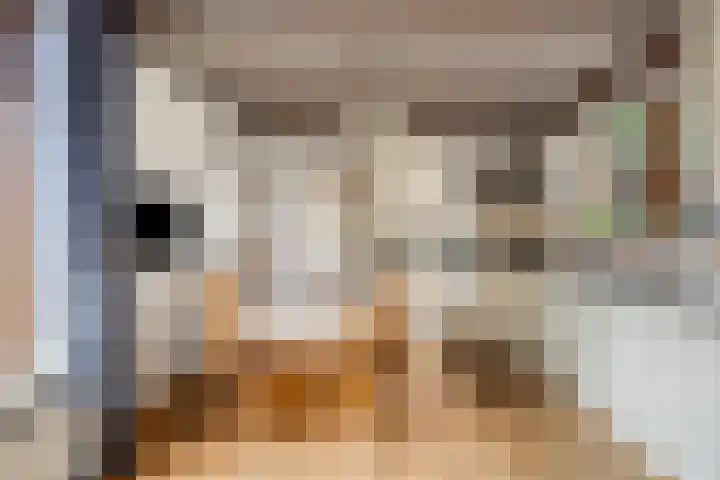 Spechtendonk 8 St. Willebrord thumbnail 15