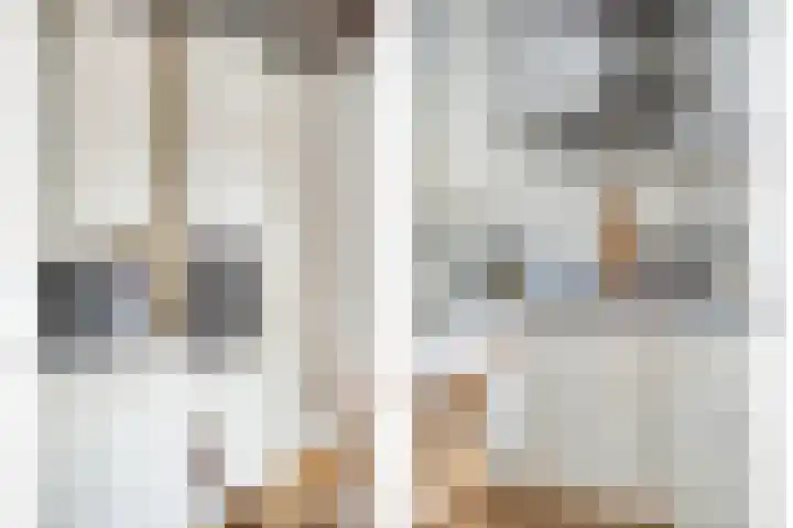 Spechtendonk 8 St. Willebrord thumbnail 16