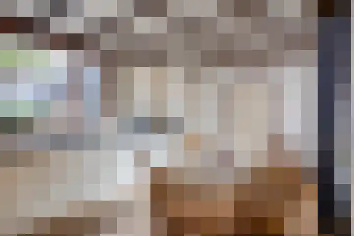 Spechtendonk 8 St. Willebrord thumbnail 17