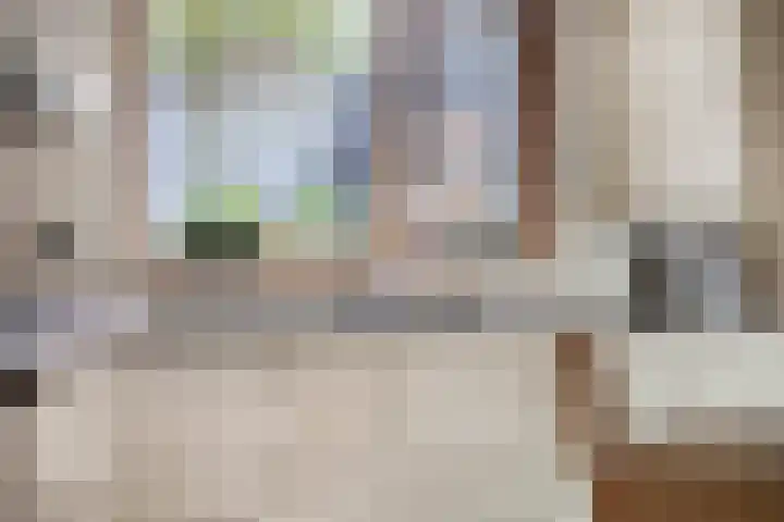 Spechtendonk 8 St. Willebrord thumbnail 18