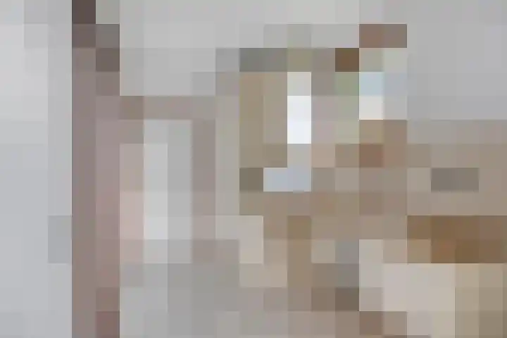 Spechtendonk 8 St. Willebrord thumbnail 19