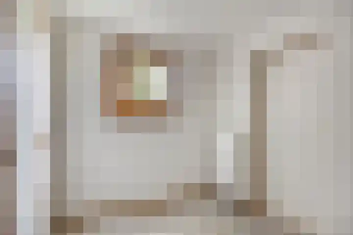 Spechtendonk 8 St. Willebrord thumbnail 21