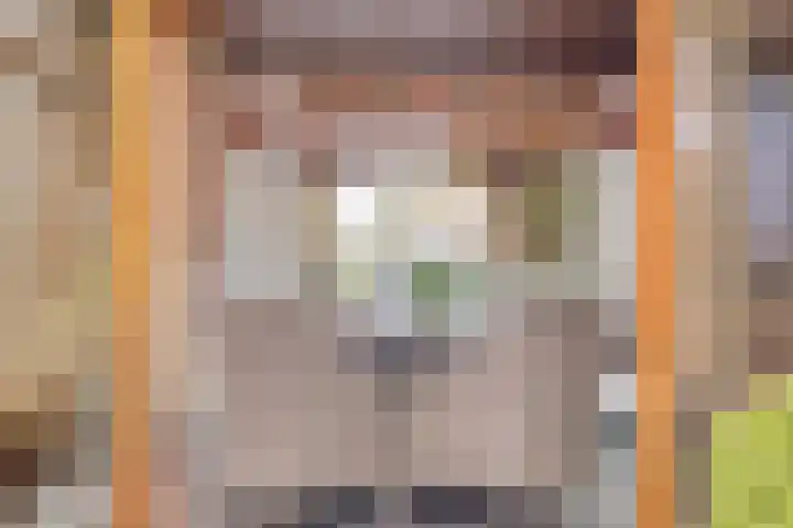 Spechtendonk 8 St. Willebrord thumbnail 23