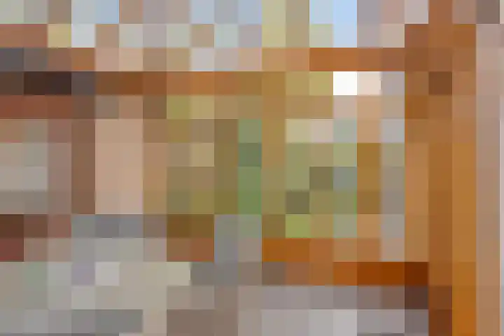 Spechtendonk 8 St. Willebrord thumbnail 24