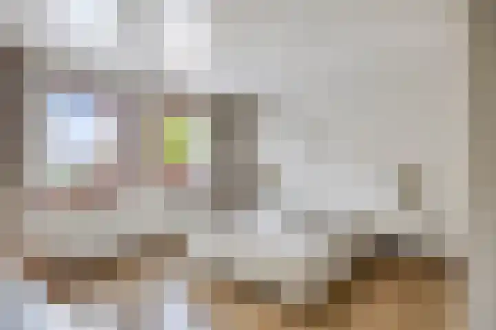 Spechtendonk 8 St. Willebrord thumbnail 27