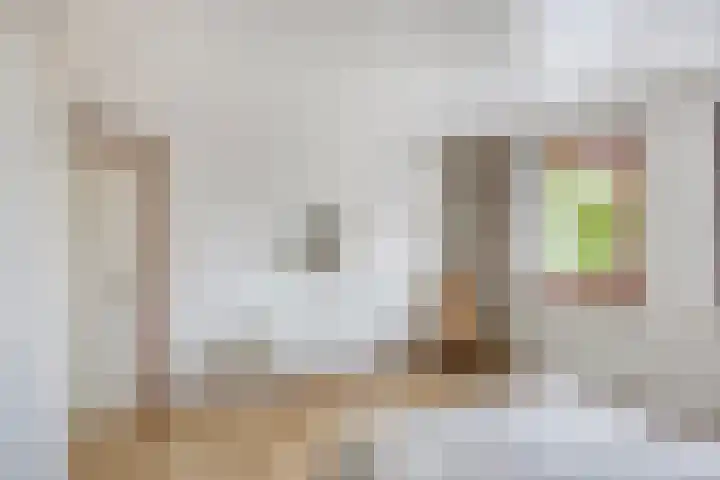 Spechtendonk 8 St. Willebrord thumbnail 28