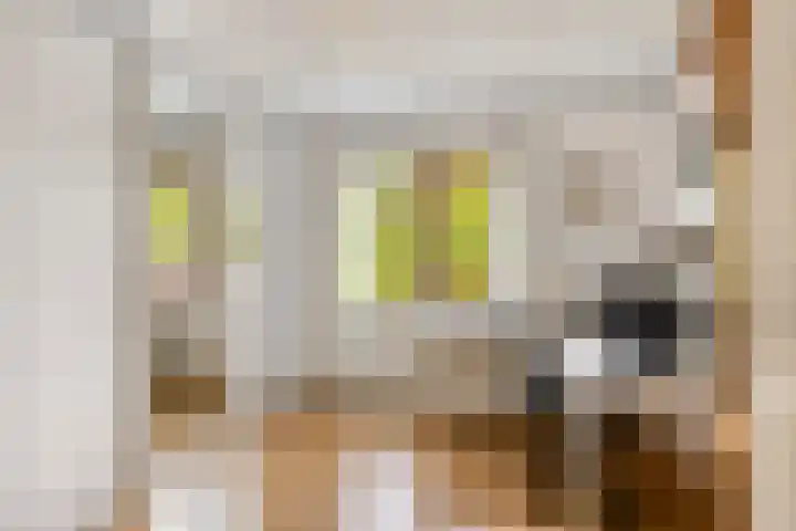 Spechtendonk 8 St. Willebrord thumbnail 31