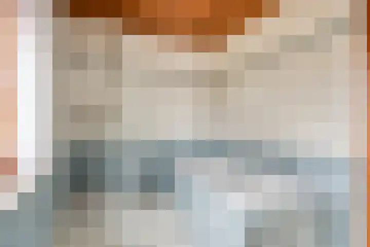 Spechtendonk 8 St. Willebrord thumbnail 34