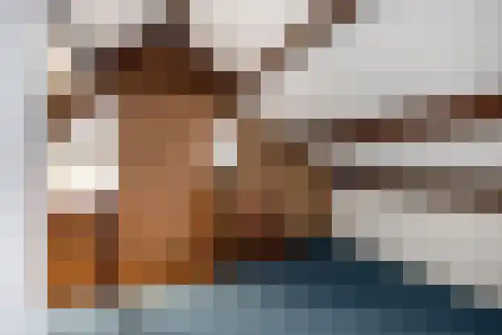 Spechtendonk 8 St. Willebrord thumbnail 35