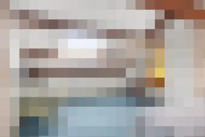 Spechtendonk 8 St. Willebrord thumbnail 37