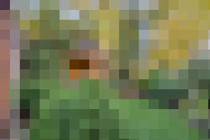 Spechtendonk 8 St. Willebrord thumbnail 39